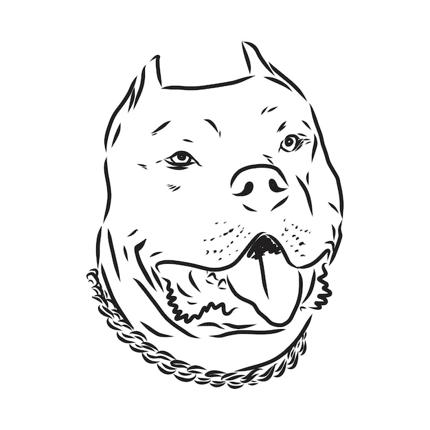 Esboço de ilustração vetorial de cão pit bull terrier