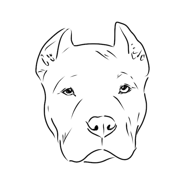 Esboço de ilustração vetorial de cão pit bull terrier