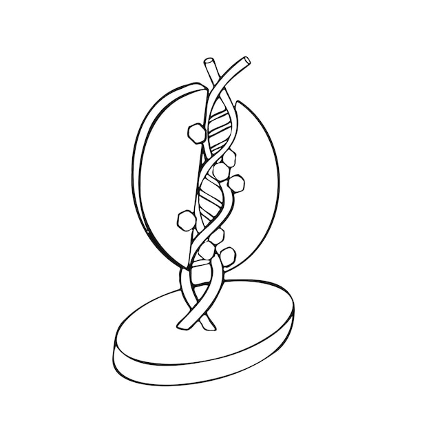 Esboço de ilustração volumétrica de DNA