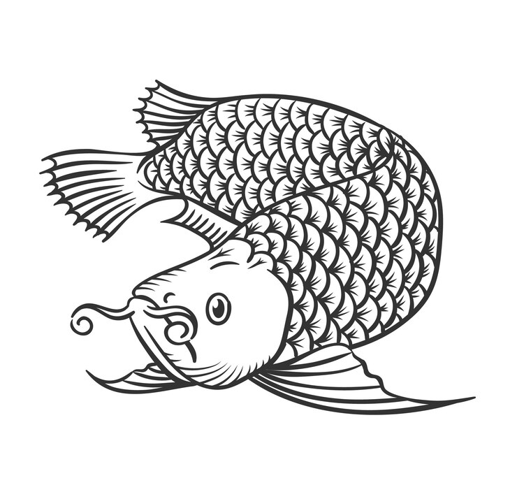 Vetor esboço de rabiscos desenhados à mão peixe aruanã