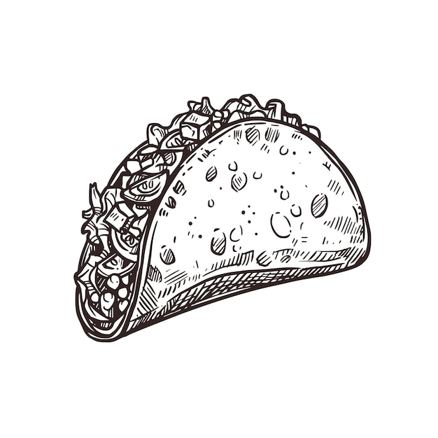 Vetor esboço de taco mexicano comida de férias de cinco de mayo