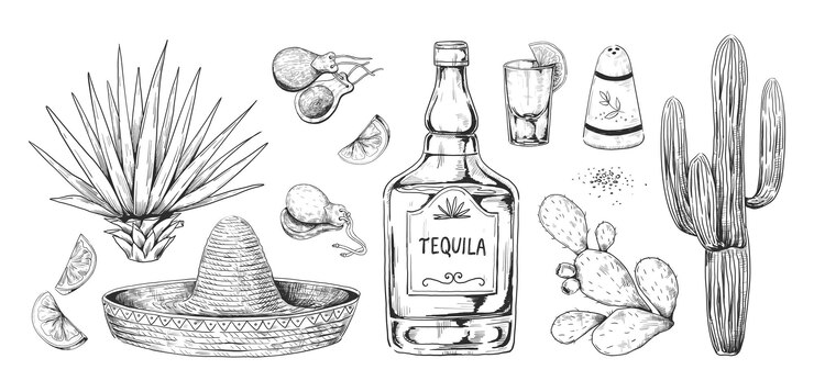 Vetor esboço de tequila bebida alcoólica mexicana desenhada à mão feita de agave com sal e limão gravura de bebida alcoólica e cactos sombrero e castanholas isolados desenhos retrô vetoriais definidos para menu de bar
