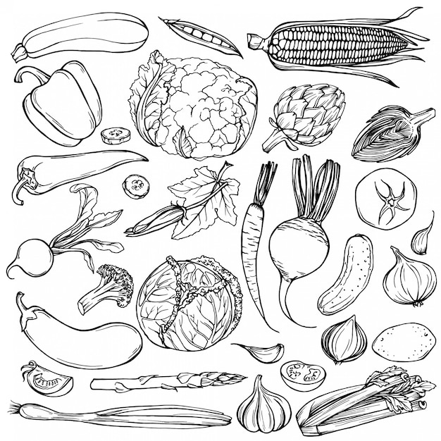 Esboço de tinta desenhada de mão. Conjunto de vários vegetais.