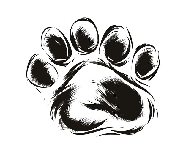 Vetor esboço desenhado à mão da pata do cão ilustração da pegada do animal de estimação