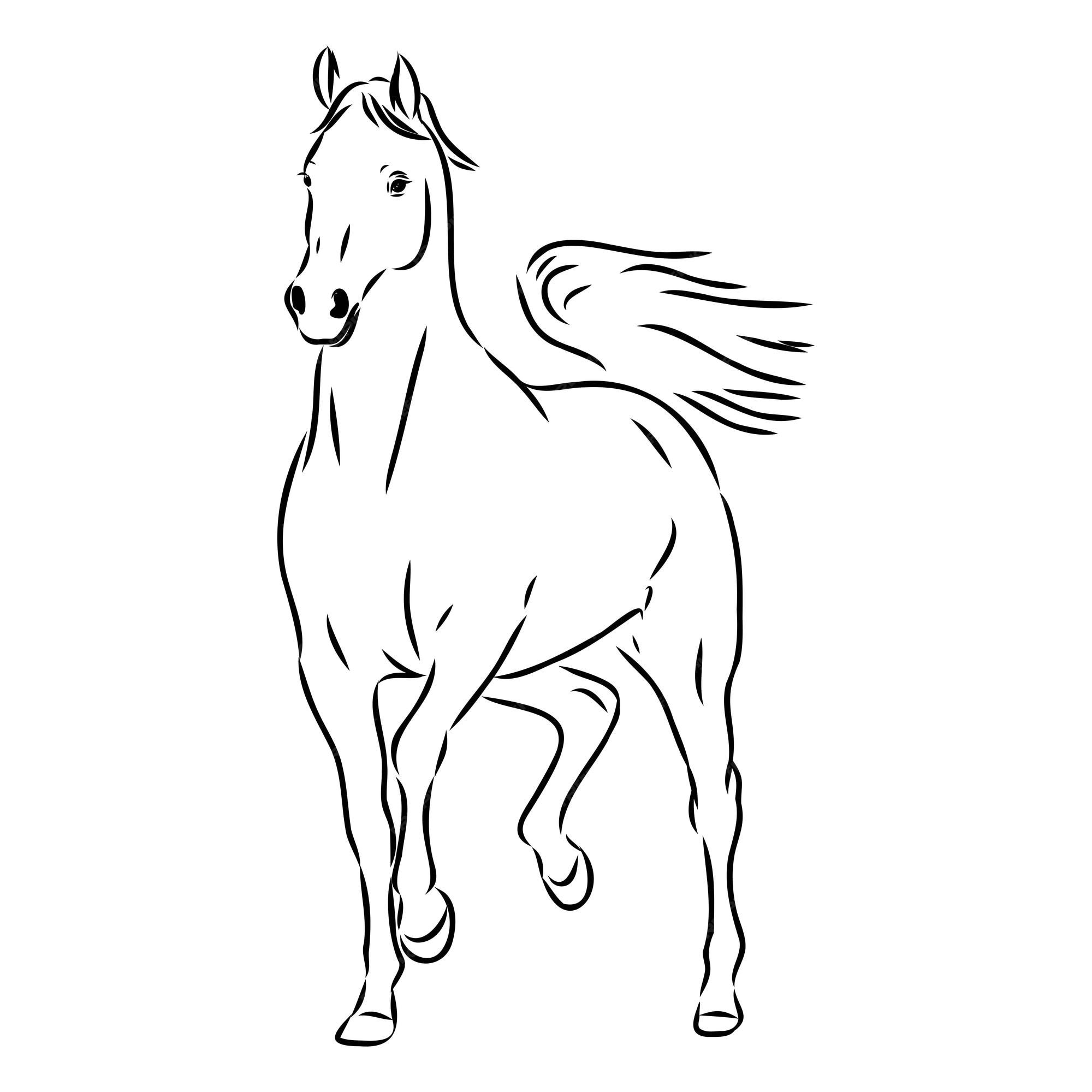 Como desenhar um cavalo árabe  Tutorial de desenho passo a passo