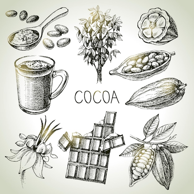 Vetor esboço desenhado à mão de um conjunto de produtos de chocolate de cacau ilustração vetorial vintage de alimentos saudáveis naturais