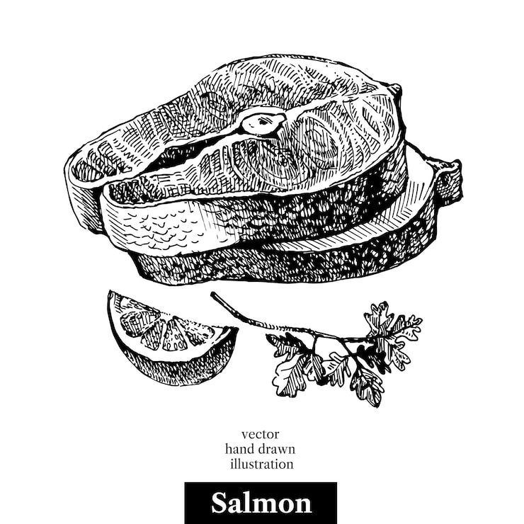 Vetor esboço desenhado à mão vetor de frutos do mar ilustração vintage preto e branco de pedaços de peixe salmão objeto isolado no fundo branco projeto do menu