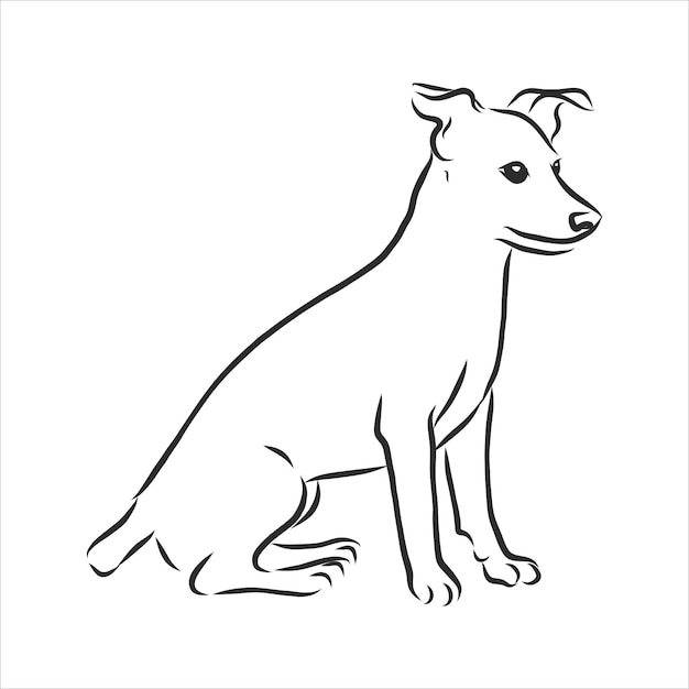 Esboço desenhado de mão de engraçado engraçado jack russell terrier. ilustração vetorial