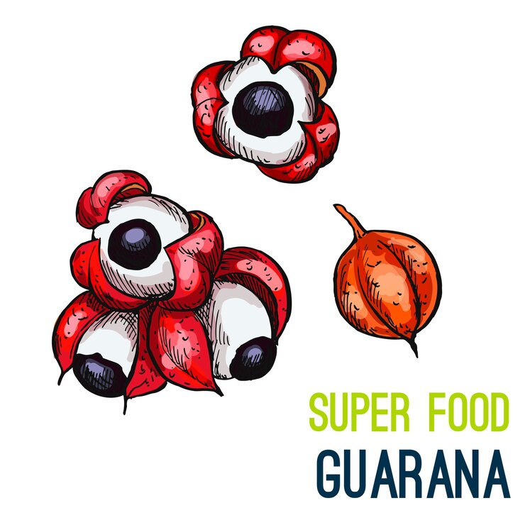 Vetor esboço desenhado de mão super comida de cores