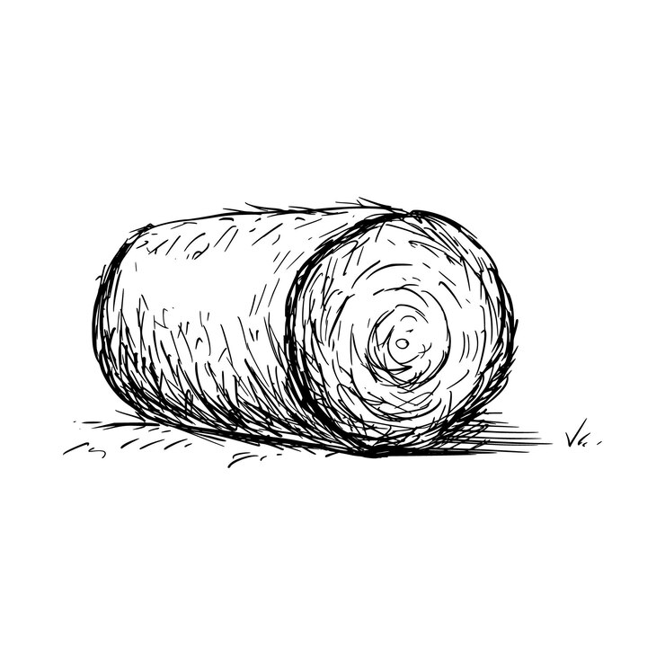 Vetor esboço do desenho da fazenda de fardos de feno. palheiro desenhado de mão. ilustração isolada do vetor.