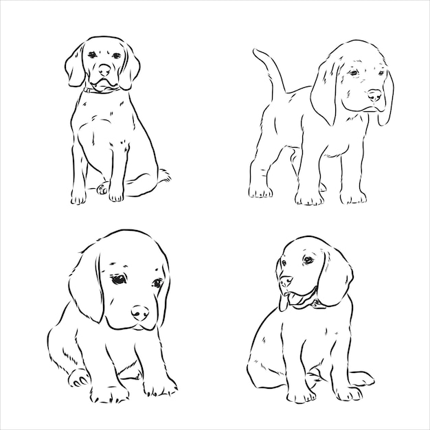 Esboço do lindo cão beagle. desenho vetorial de cão beagle de ilustração vetorial