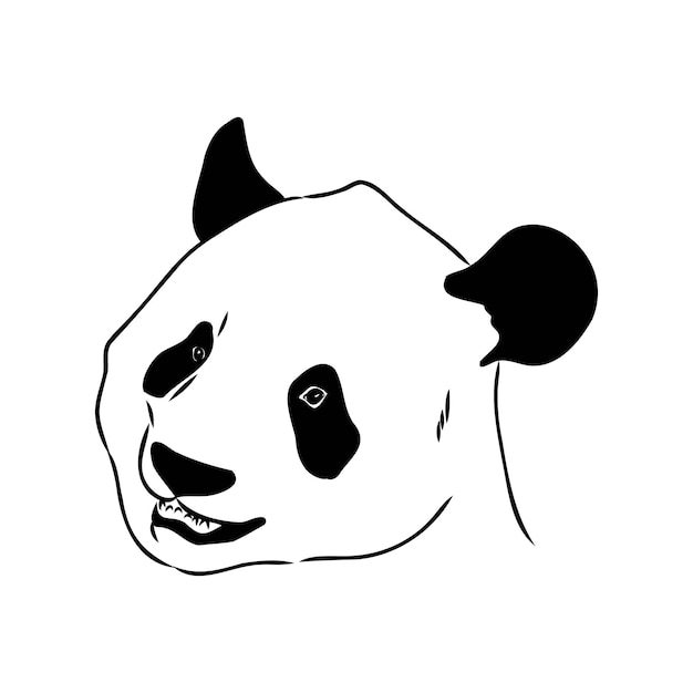 Esboço realista vetorial da figura do panda em ilustração desenhada à mão de corpo inteiro