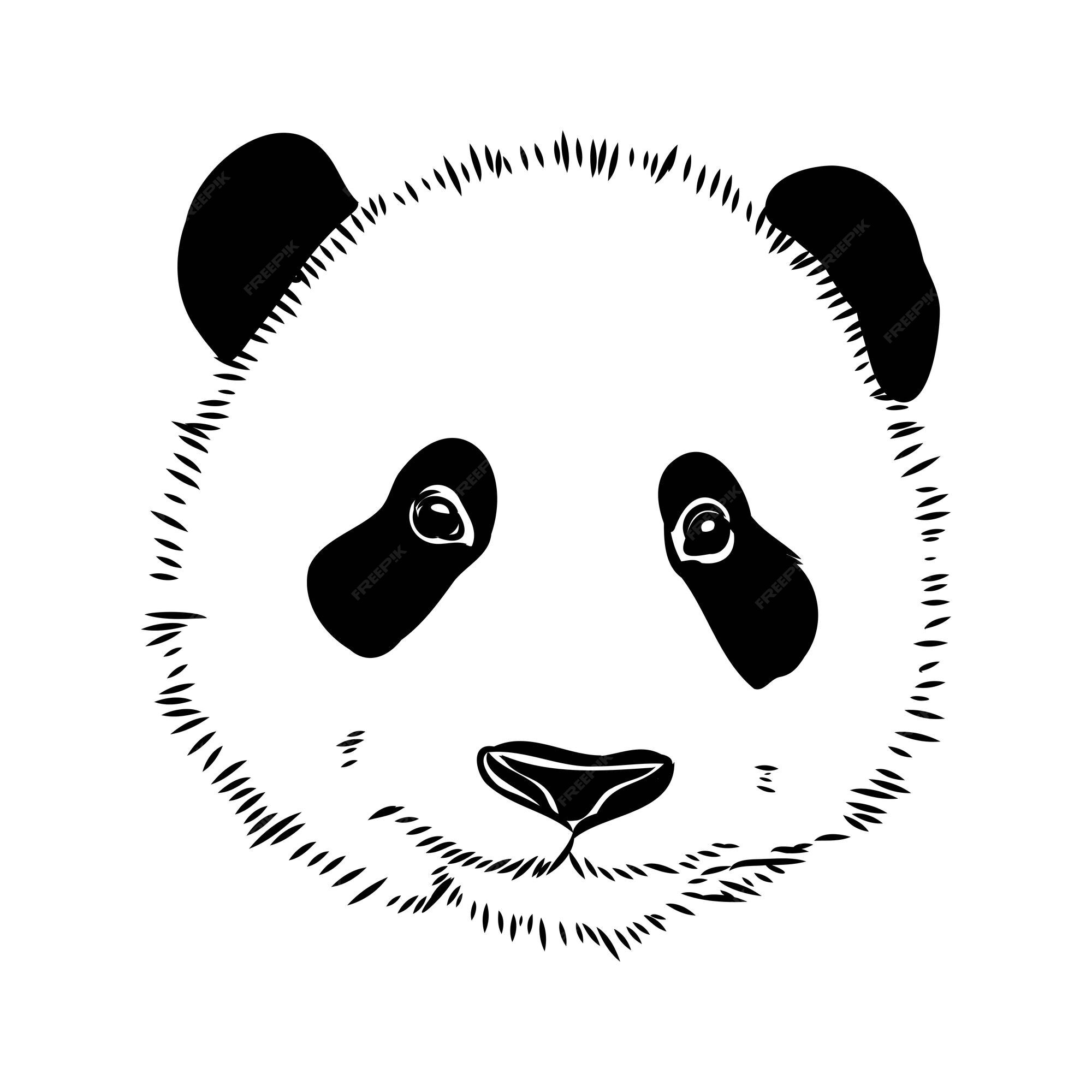 Como desenhar Panda realista: esboço 