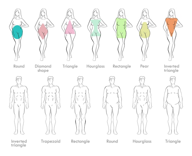 Vetor esboços dos tipos de corpo masculino e feminino