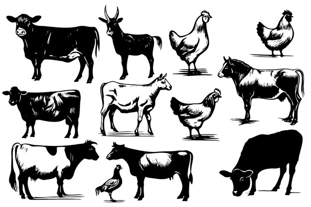 Vetor esboços vetoriais de animais de fazenda desenhados à mão ilustração publicidade de fundo e design de panfletos