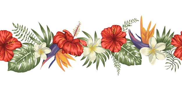 escova de fronteira sem costura de folhas tropicais verdes com flores de plumeria, strelitzia e hibisco no fundo branco.