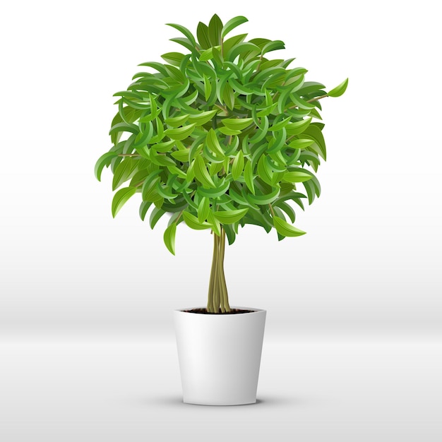 Escritório realista ou planta decorativa para casa em vaso branco