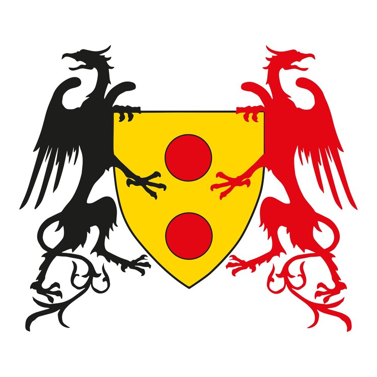 Vetor escudo decorativo medieval