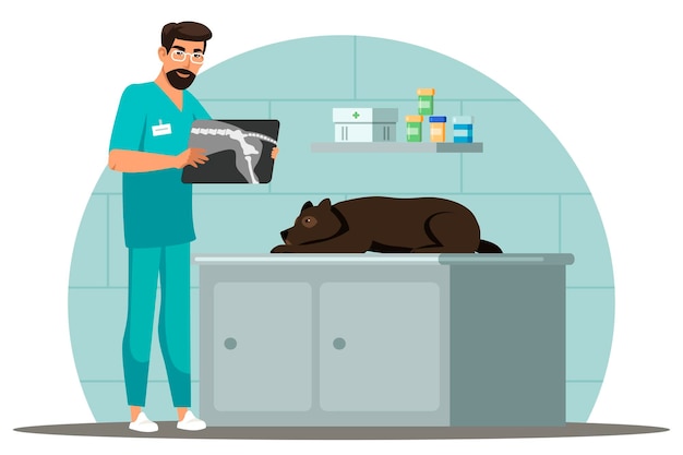 Vetor especialista veterinário trabalha em cena médico examina cachorro mostrando raio x filhote visita veterinário para verificar a saúde