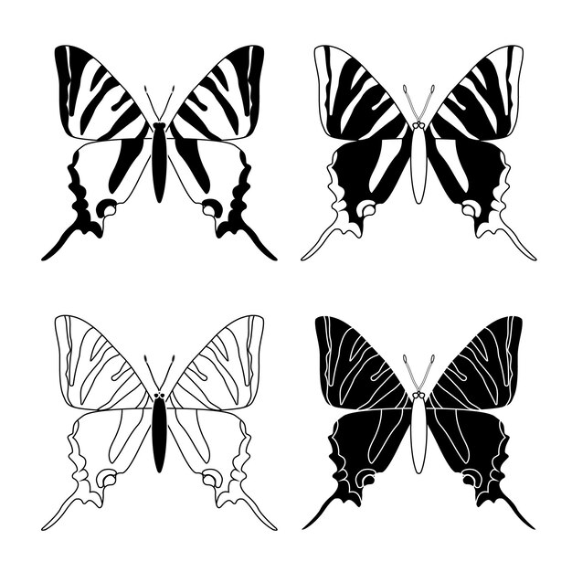 Espécies definir estilo plano de insetos de borboleta preto e branco