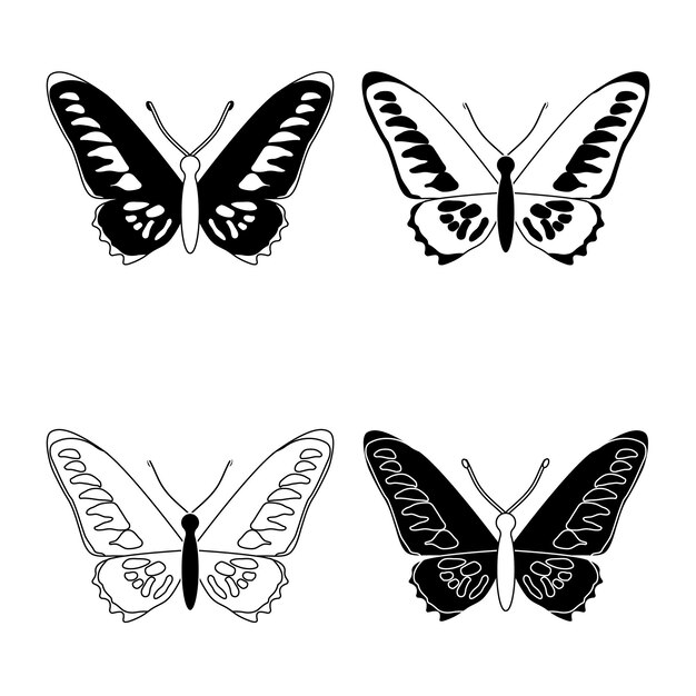 Espécies definir estilo plano de insetos de borboleta preto e branco