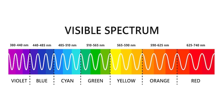 Espectro de luz visível Comprimento de onda de luz óptica Espectro de cores visíveis eletromagnéticas para o olho humano Diagrama de gradiente vetorial com comprimento de onda e cores Ilustração educacional sobre fundo branco