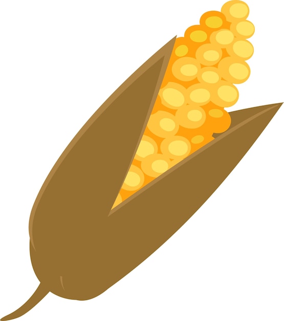 Vetor espiga de milho