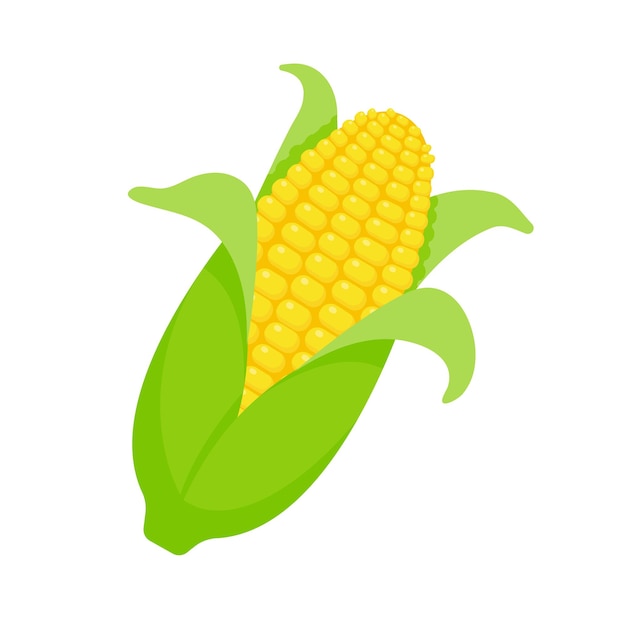 Espigas de milho descascadas vetor de milho fruta amarela