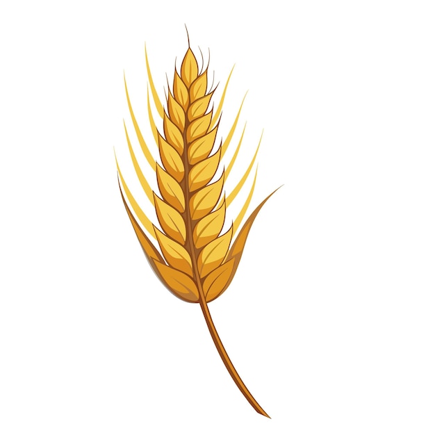 Espinhos de trigo com grãos