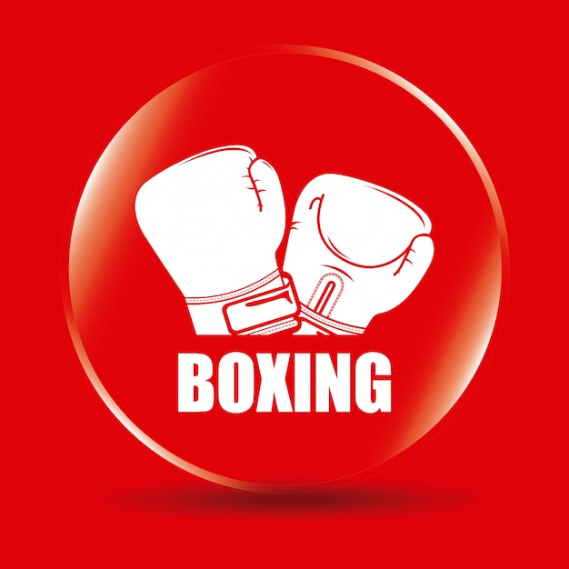 esporte de boxe