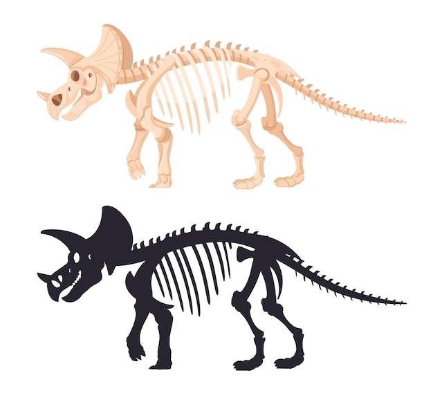 Esqueleto Dino Desenhos Animados Ossos Fósseis Dinossauros Antigos