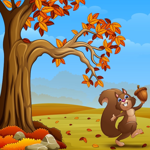 Esquilo feliz segurando uma bolota na floresta de outono