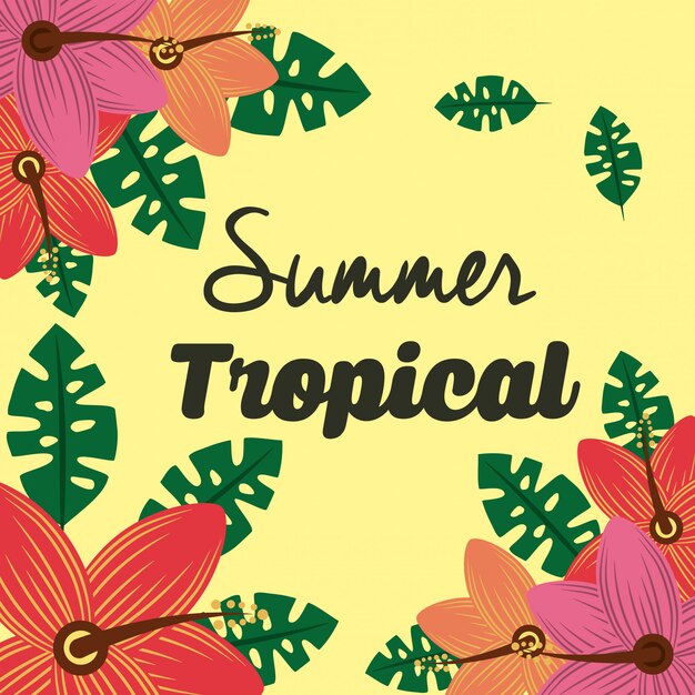 Vetor estação tropical de verão