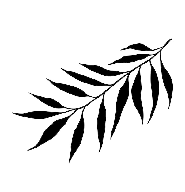 Vetor estêncil de planta de folhas tropicais folha de palmeira floral desenho vetorial de silhueta preta. logotipo botânico
