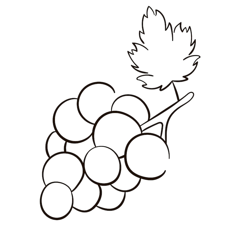 Vetor estilo de arte de linha de ícone de uva linha desenhando uvas orgânicas saudáveis para menu de impressão de pôster de rótulo