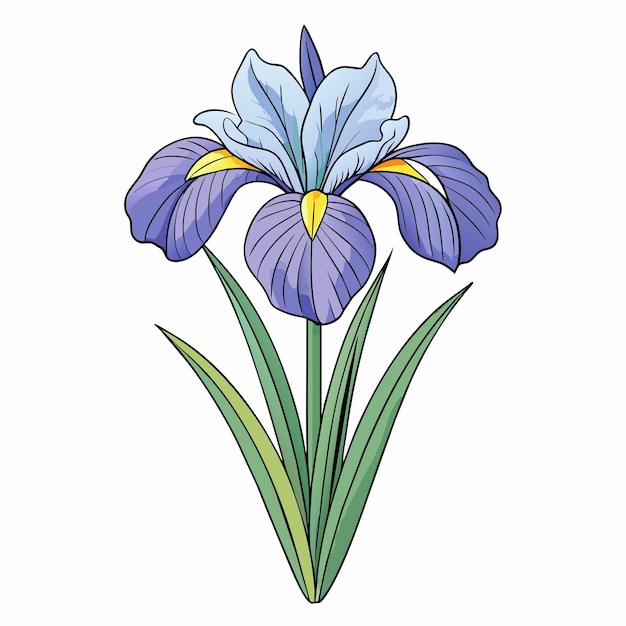Estilo de desenho animado de flor de íris Icon Vector clipart Ilustração