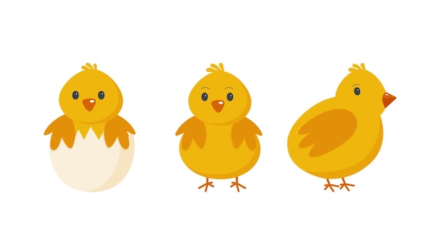 Estilo de desenho animado de galinhas de páscoa em um fundo branco Eps 10