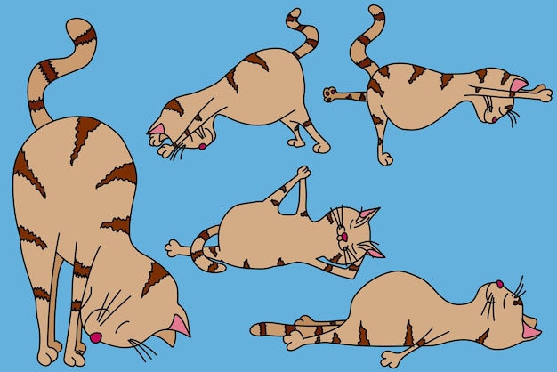 Estilo de desenho animado de personagem de gato fofo