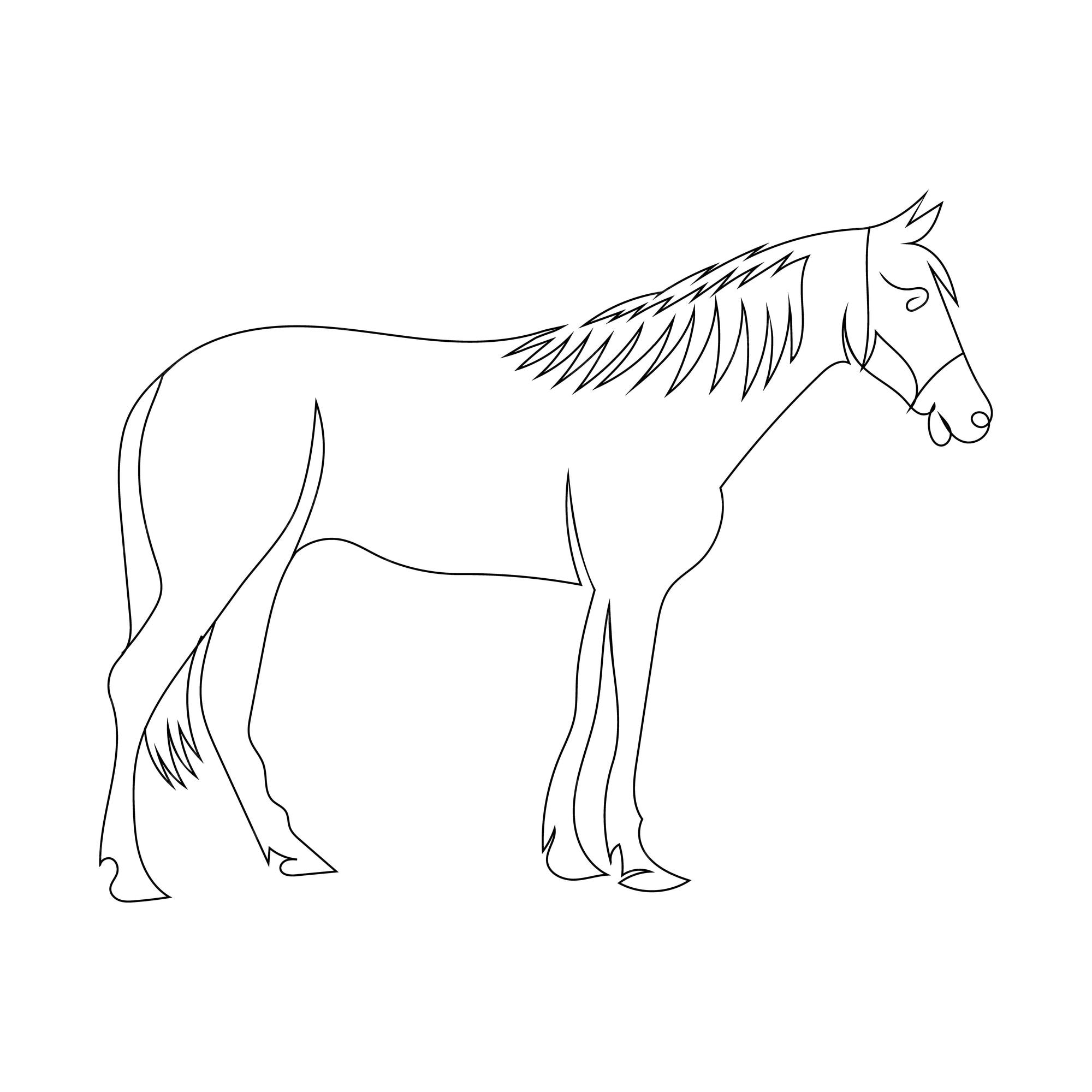 Desenhando um cavalo 