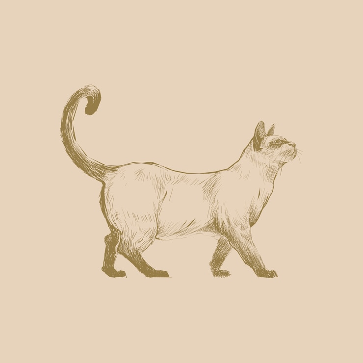 Vetor estilo de desenho de ilustração de gato