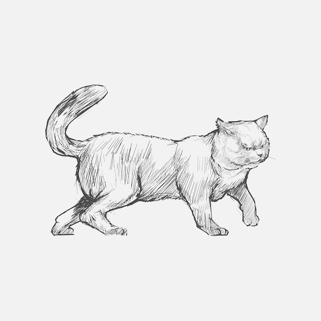 Estilo de desenho de ilustração de gato