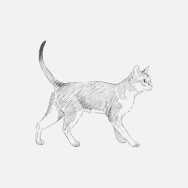 Estilo de desenho de ilustração de gato