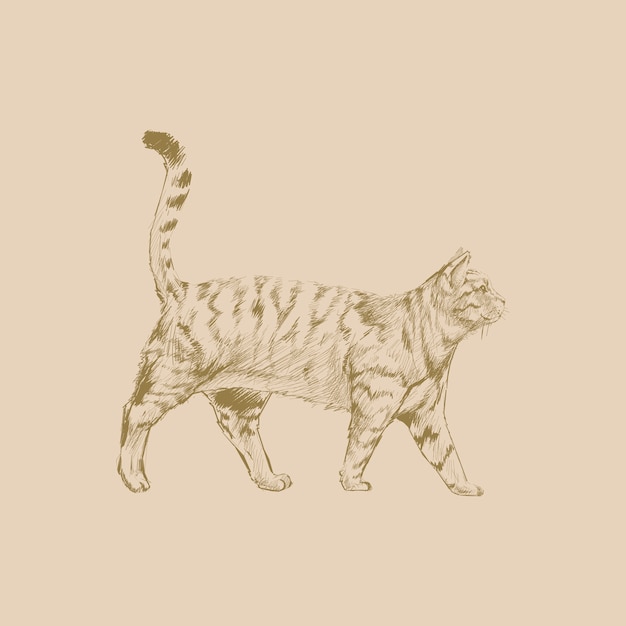 Vetor estilo de desenho de ilustração de gato