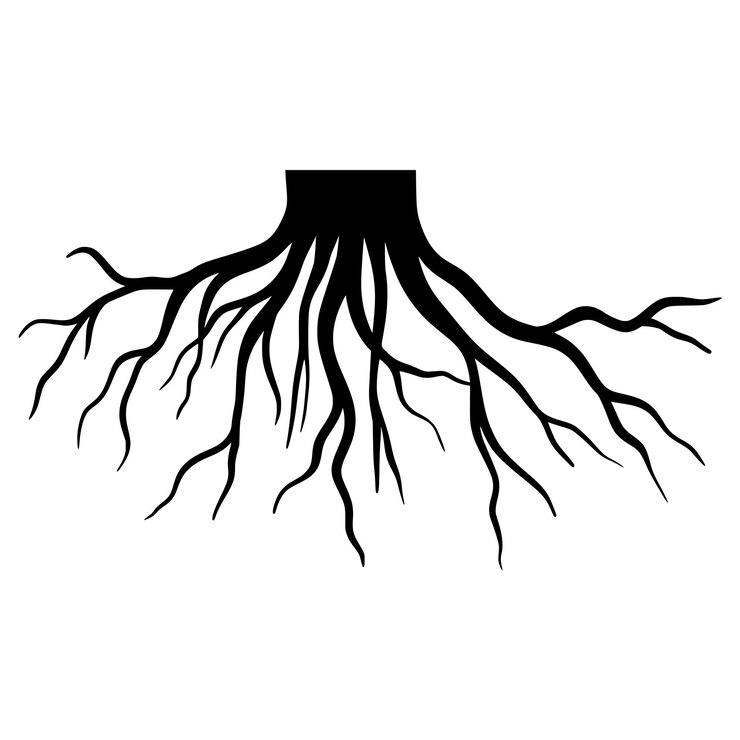 Vetor estilo de esboço de doodle de ilustração vetorial da raiz da árvore para design conceitual