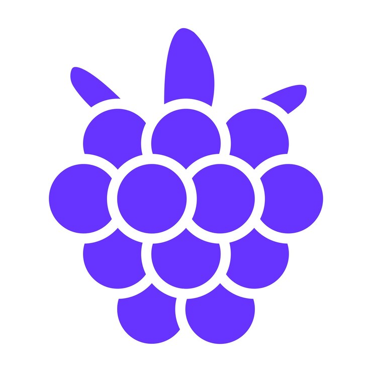 Vetor estilo de ícone de design vetorial raspberry rhapsody