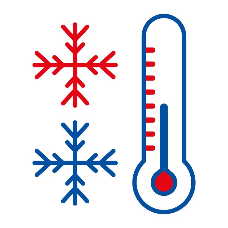 Vetor estilo de ícone frio de design vetorial