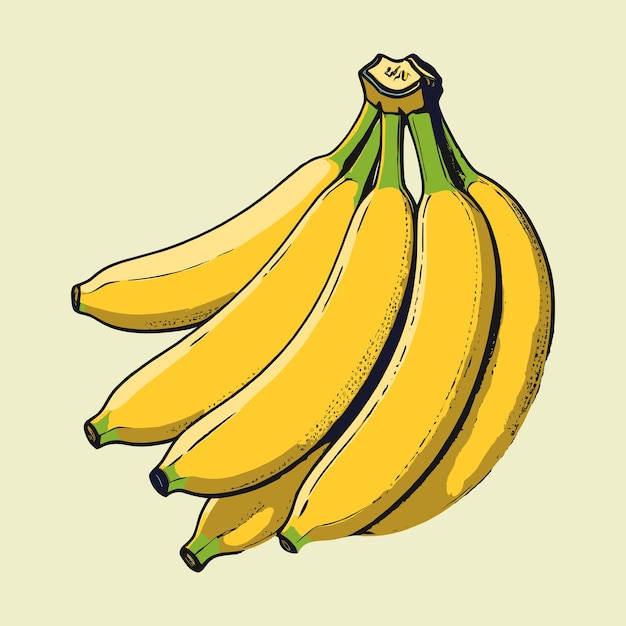 Vetor estilo de quadrinhos de banana gravado estilo vetorial 2