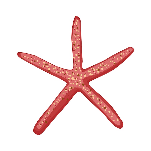 Estrela-do-mar das Caraíbas sobre um fundo branco
