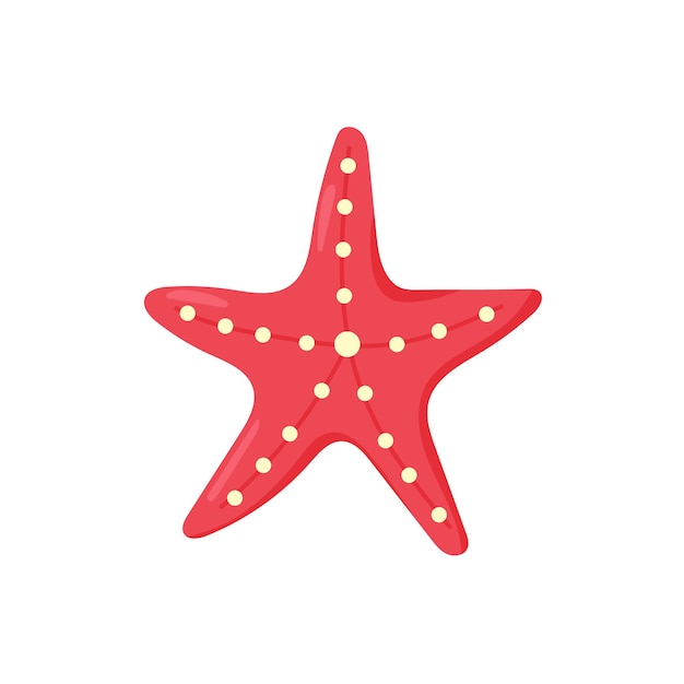 Estrelas do mar