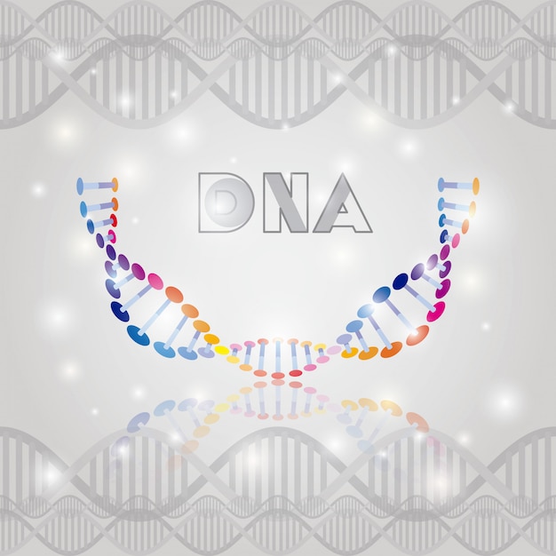 Estrutura de meio círculo de molécula de dna